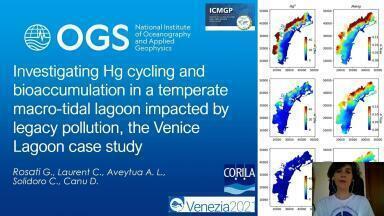 Investigating Hg Cycling and Bioaccumulation in a Temperate Macro-tidal Lagoon Impacted by Legacy Pollution